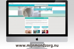 website-01