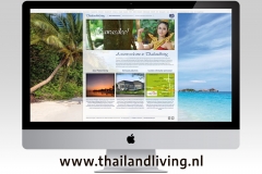 website-03