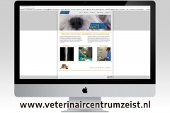 website-06